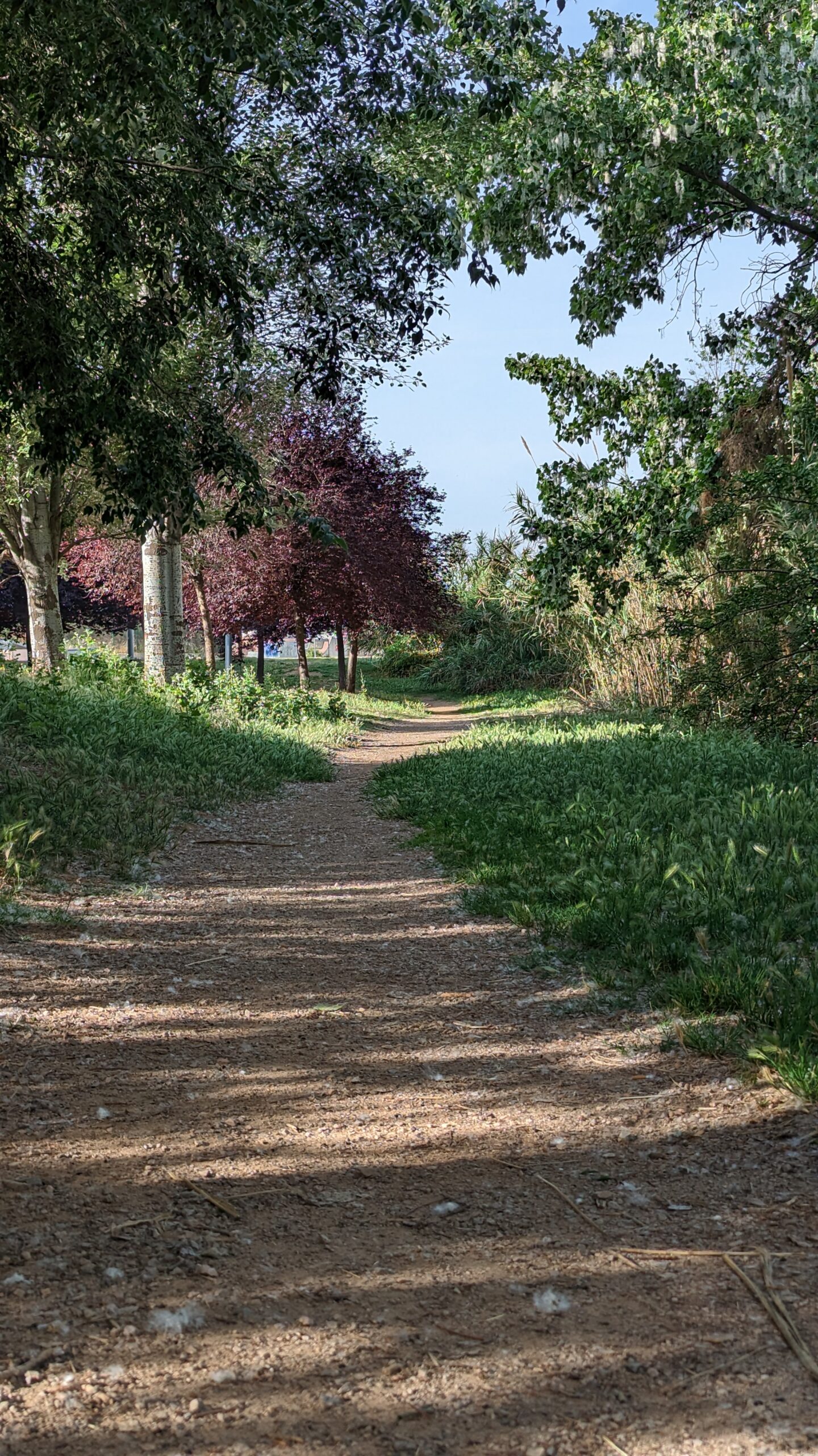 Mobilitat i cohesió territorial