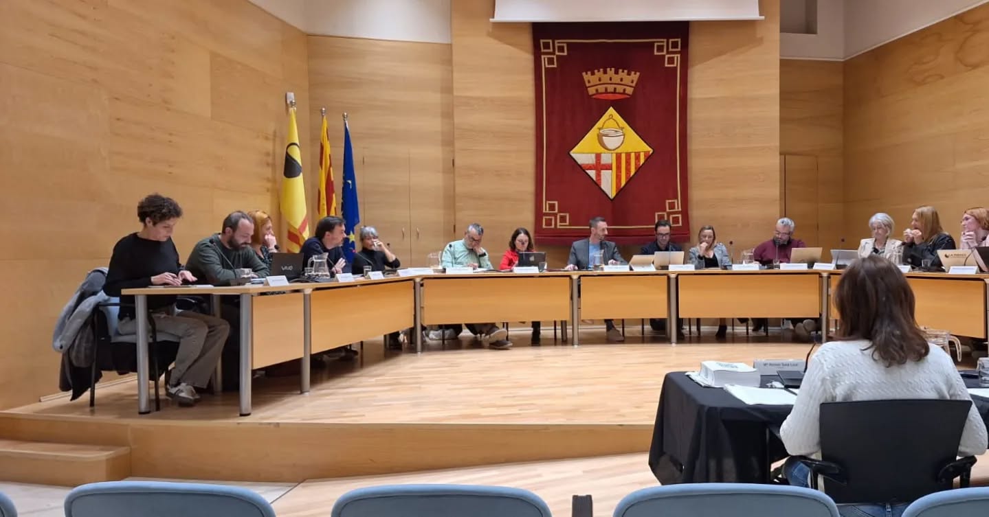 Ple municipal 28 de novembre de 2024